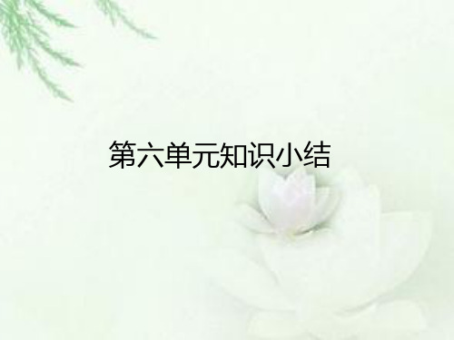 部编四下语文第六单元知识点总结+考点分析(好课件)