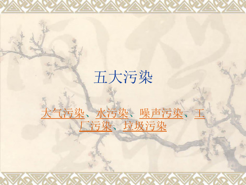 五大污染