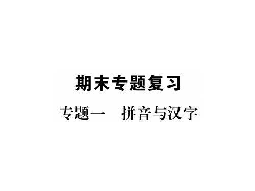 九年级语文下册课件：专题1 拼音与汉字 (共14张PPT)