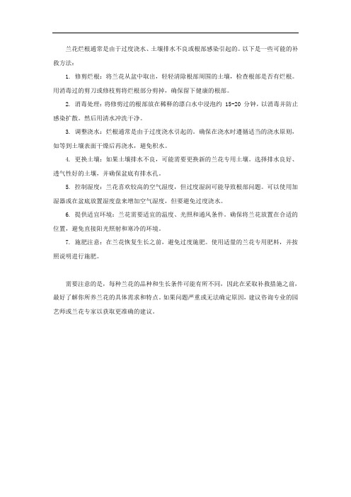 兰花烂根补救方法