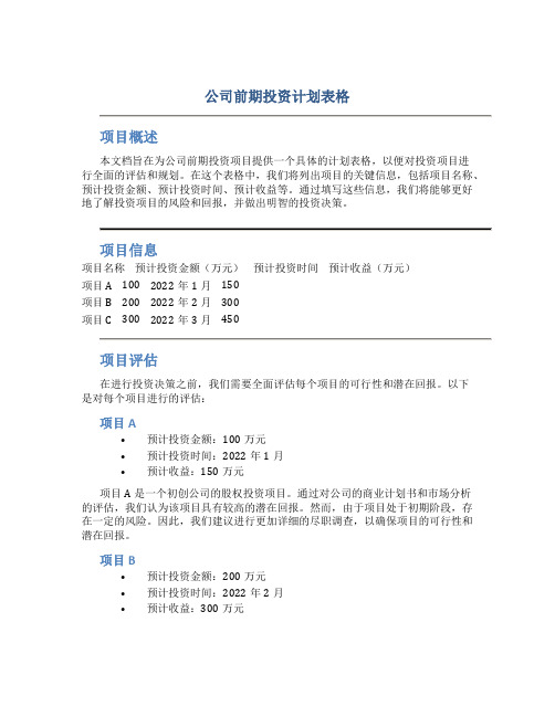 公司前期投资计划表格