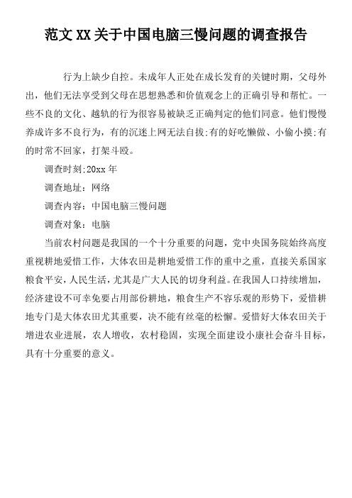 范文XX关于中国电脑三慢问题的调查报告