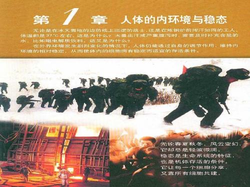 人教版教学课件必修三 细胞生活的环境
