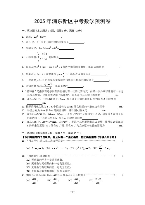 2005年上海浦东新区初三检测试卷及答案