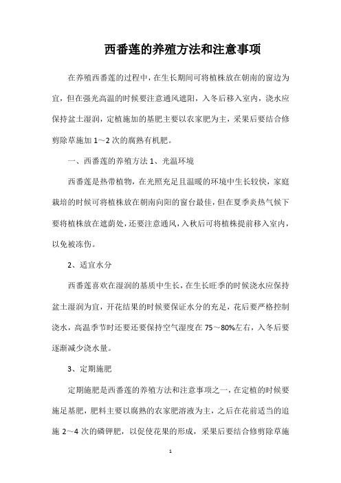 西番莲的养殖方法和注意事项