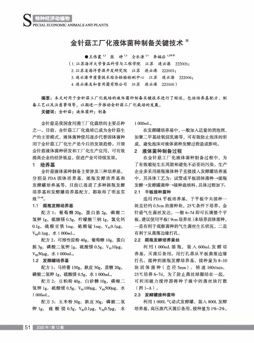 金针菇工厂化液体菌种制备关键技术