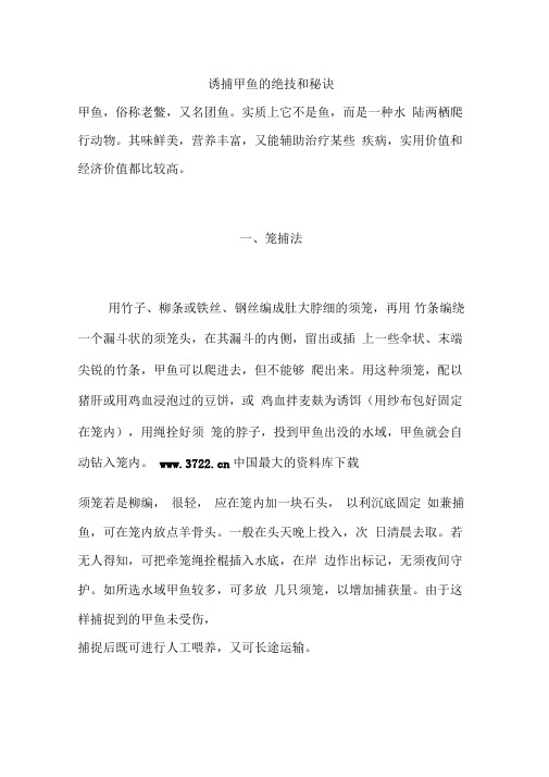 钓鱼技艺--诱捕甲鱼的绝技和秘诀
