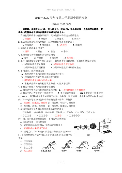 2019-2020第二学期七年级生物期中试卷及答案