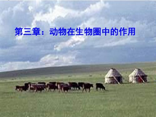 动物在生物圈中的作用