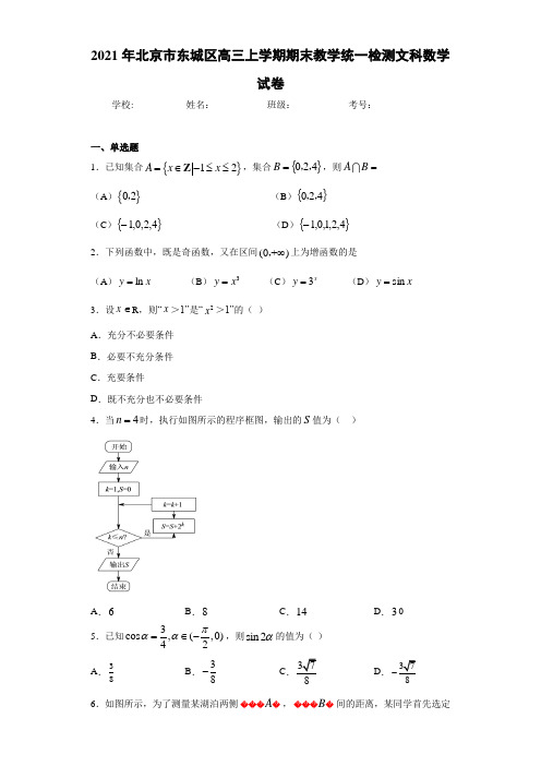 2021届北京市东城区高三上学期期末教学统一检测文科数学试卷