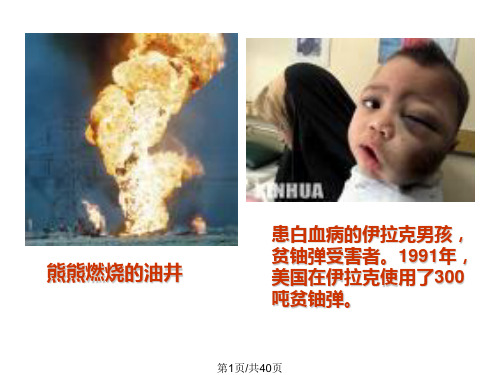 海湾战争PPT课件