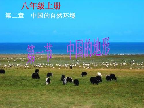 中国三级阶梯的地势及主要地形课件(湘教版八年级上)