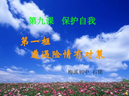 人教版政治七年级上册集体备课：9.1遭遇险情有对策