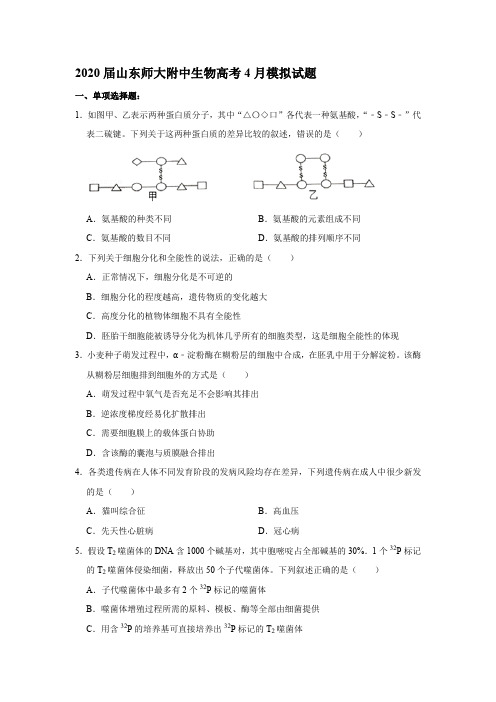 2020届山东师大附中生物高考试题试卷模拟测试题及答案