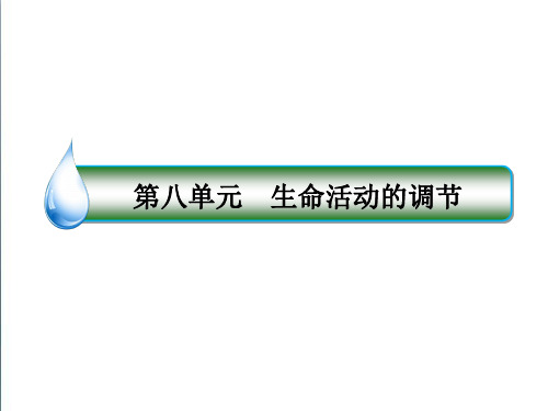 2019版高考一轮课件：8-26人和高等动物的神经调节