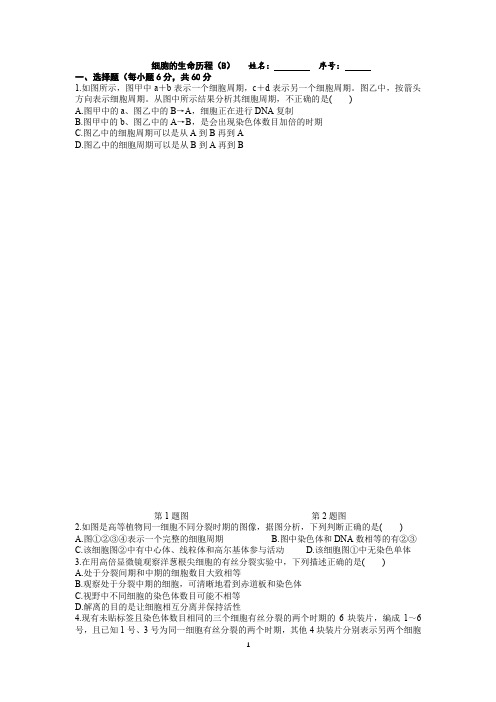 6.细胞的生命历程期末复习卷(2020.7)何惠文