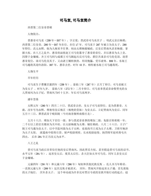 司马衷,司马衷简介