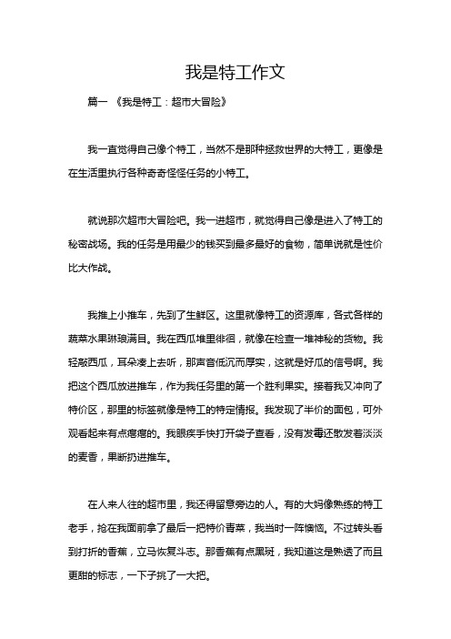 我是特工作文