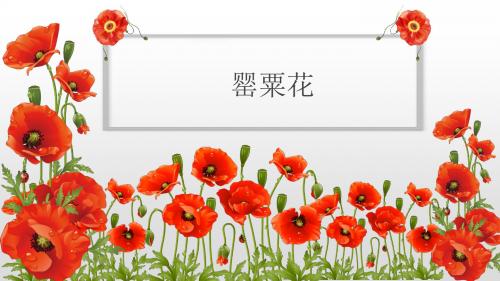 毒品的种类