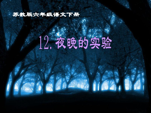 六年级下册语文优秀课件-课文12《夜晚的实验》苏教版(共27张PPT)