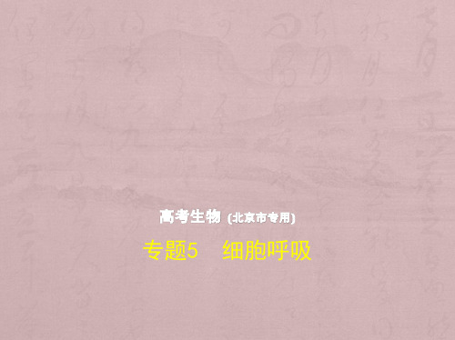 高考生物(5年高考+3年模拟)精品课件北京专版：专题5 细胞呼吸(共46张PPT)