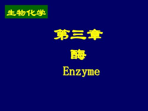 实施第3章酶