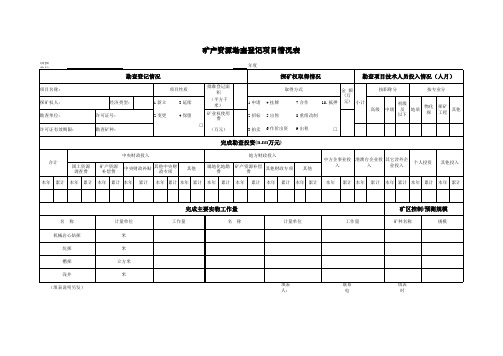 Excel实战技巧模板1000例：矿产资源勘查登记项目情况表