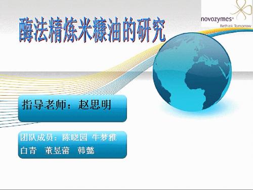 酶法精炼米糠油的研究 终稿 (1)