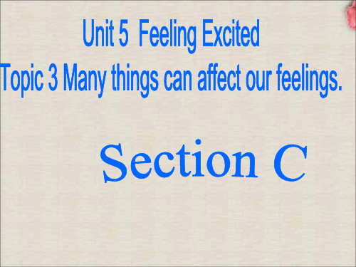 Unit 5 Topic 3 Many things can affect our feelings. Section C