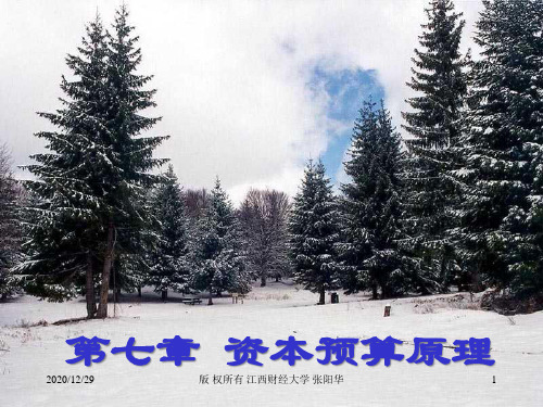 资本预算原理2530892376