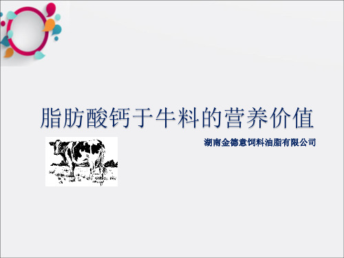 脂肪酸钙於牛料中的
