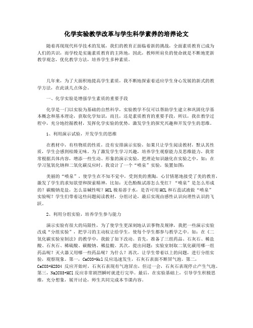 化学实验教学改革与学生科学素养的培养论文