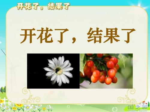 《开花了,结果了》植物的生长变化PPT课件(上课用)