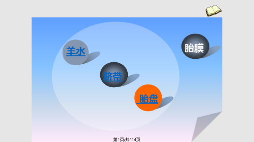 胎儿附属物的超声波检查与诊断PPT课件