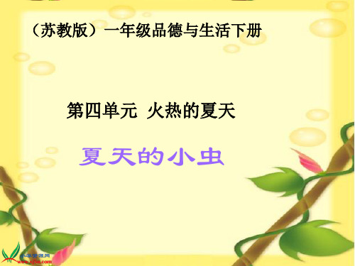14 夏天的小虫课件