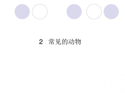 湘教版小学三年级上册科学第二单元《2.常见的动物》