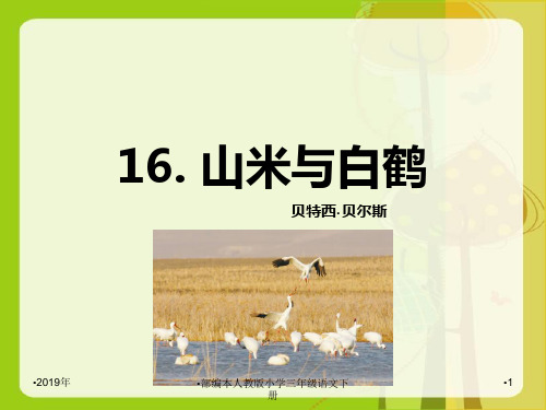 推荐(语文版)八年级语文上册16 山米与白鹤课件