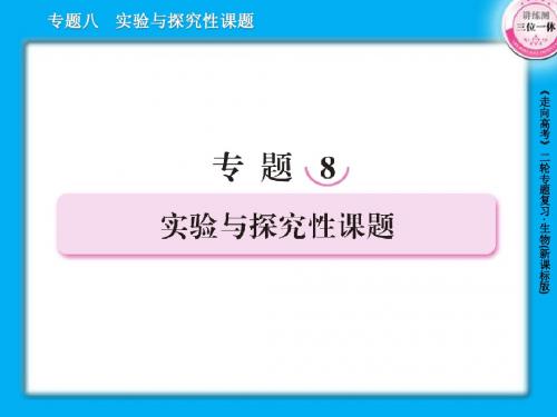 8实验与探究性课题