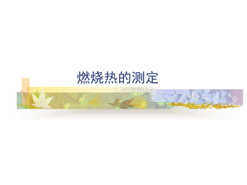 燃烧热的测定