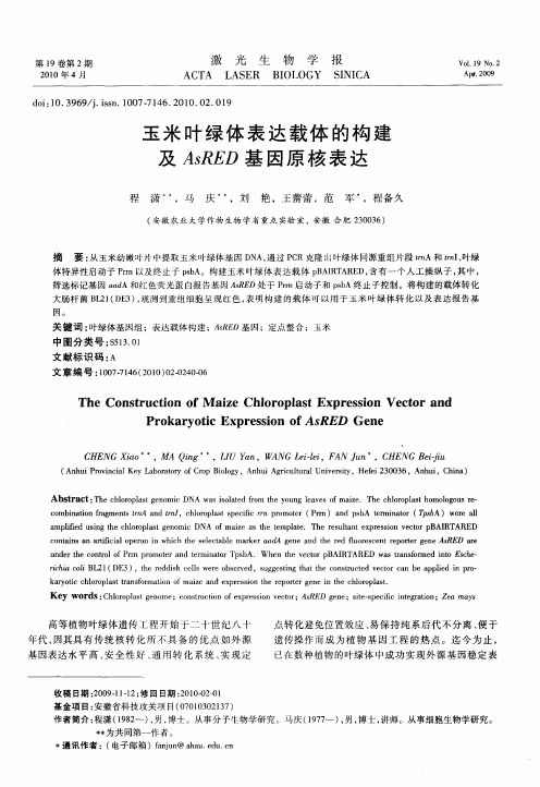 玉米叶绿体表达载体的构建及AsRED基因原核表达