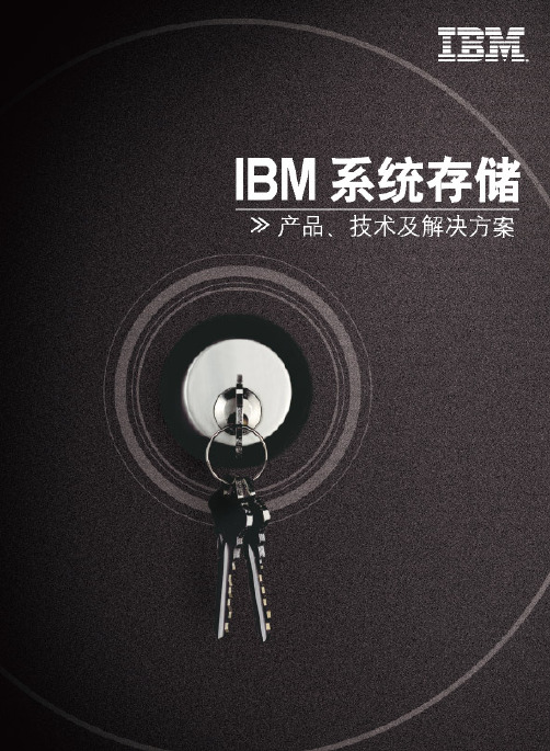 IBM 存储解决方案手册