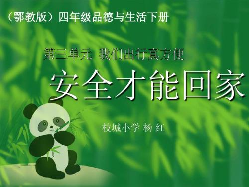 (鄂教版)四年级品德与生活下册课件 安全才能回家 1