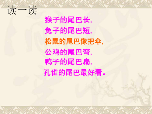 一年级语文下册 尾巴的功能 1课件 语文A版