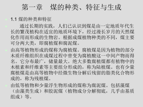 第1章  煤的种类、特征与生成以及煤的化工分析与元素分析和工艺性质