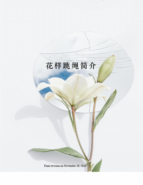 花样跳绳简介