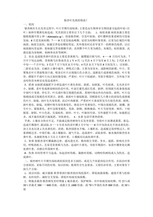 银杏叶发黄的缘故