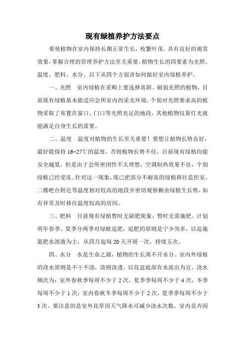 绿植养护方法