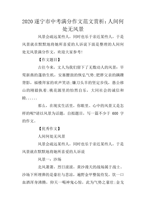 2020遂宁市中考满分作文范文赏析：人间何处无风景