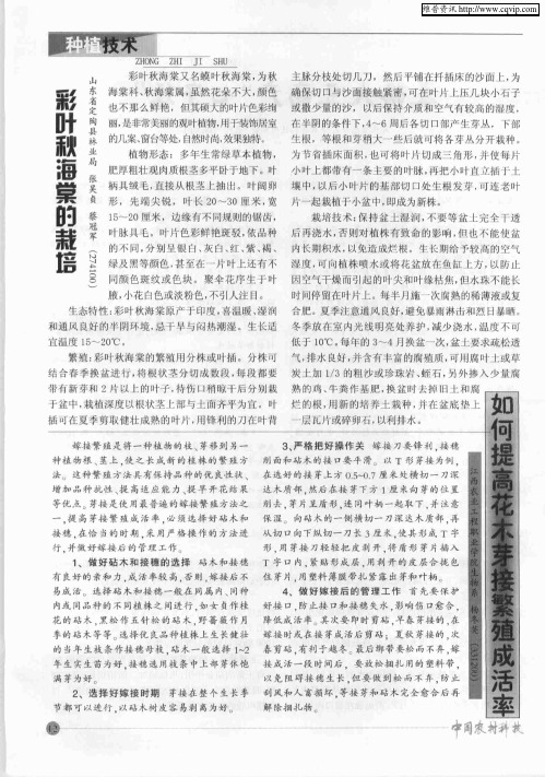如何提高花木芽接繁殖成活率