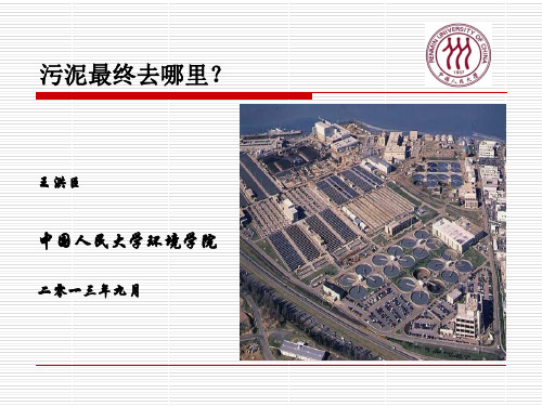 3王洪臣-污泥最终去哪里-上海